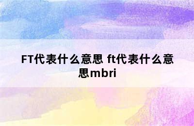 FT代表什么意思 ft代表什么意思mbri